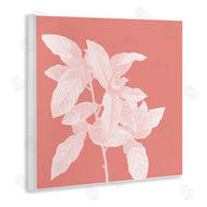 Andrea Haase | Pink & White Botanical