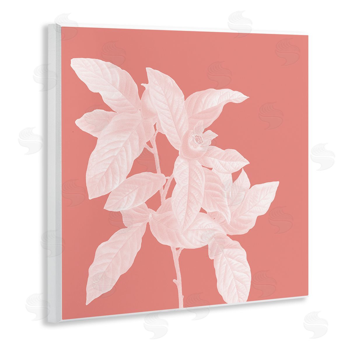 Andrea Haase | Pink & White Botanical