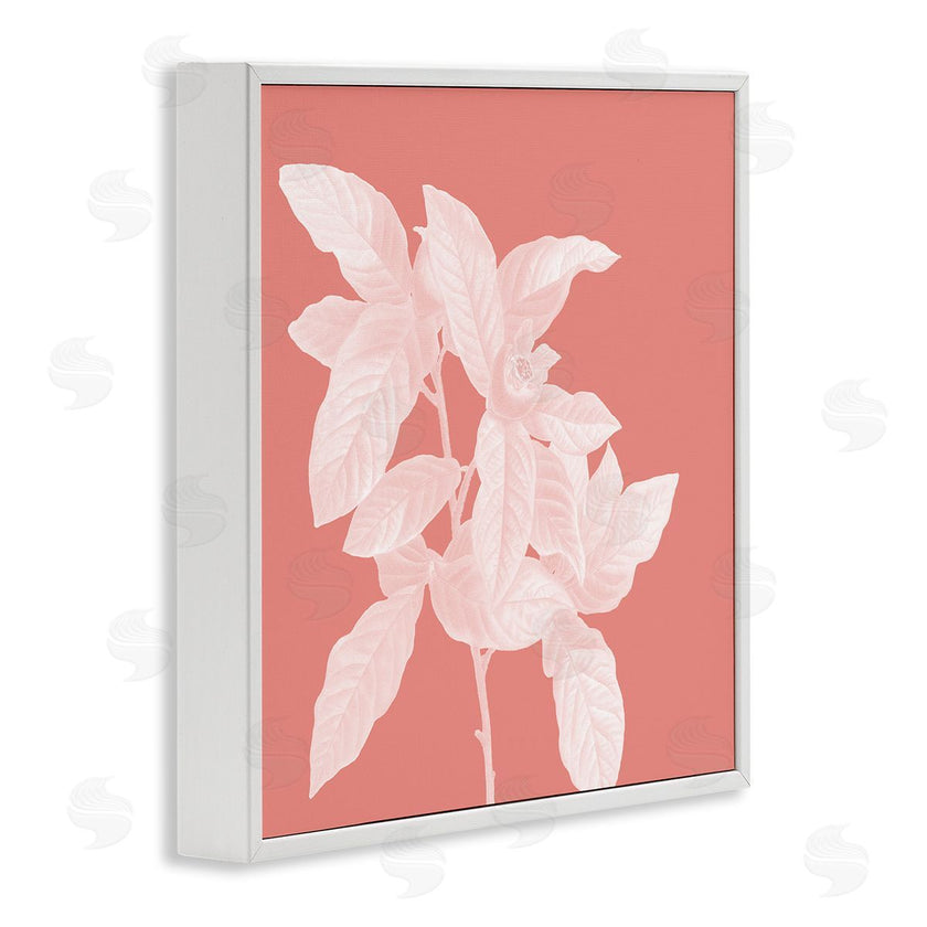 Andrea Haase | Pink & White Botanical