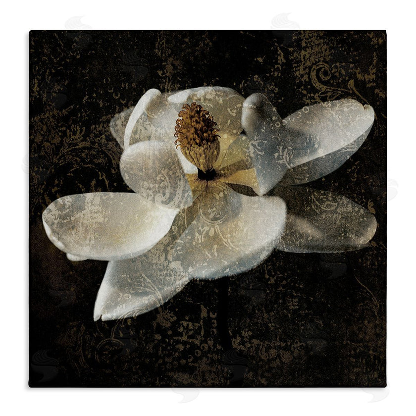John Seba | Rustic Magnolia Flower