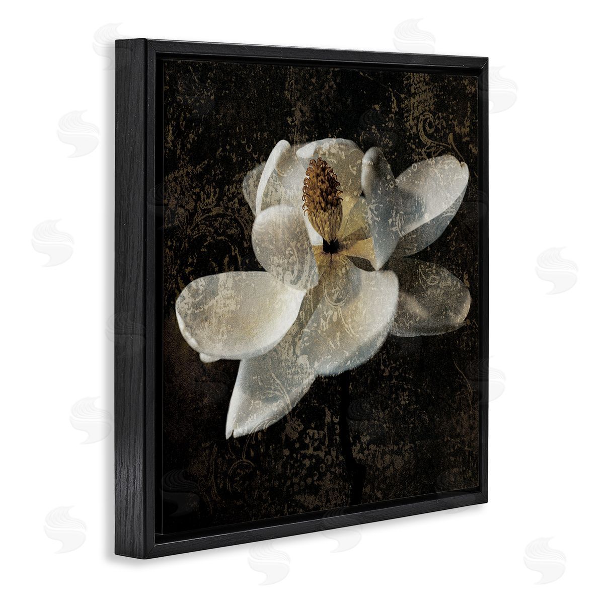 John Seba Rustic Magnolia Flower Black Floater Frame Canvas Artside_
