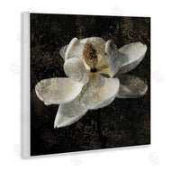 John Seba | Rustic Magnolia Flower