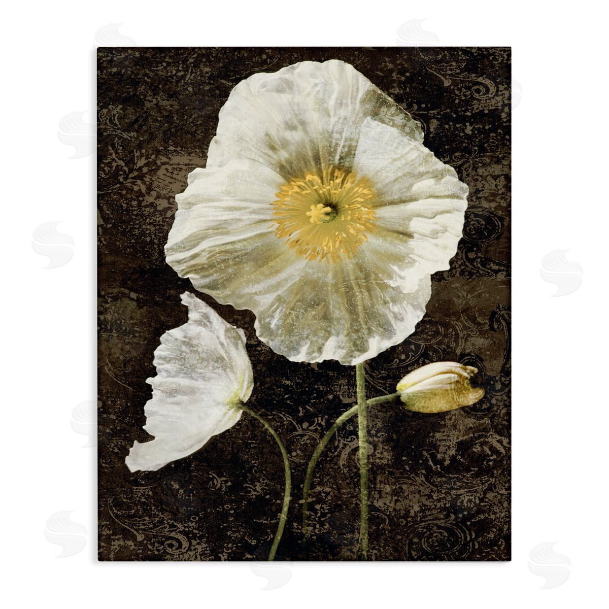 John Seba | Rustic White Poppies