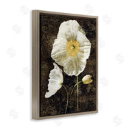 John Seba | Rustic White Poppies