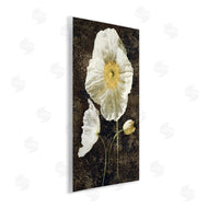 John Seba | Rustic White Poppies