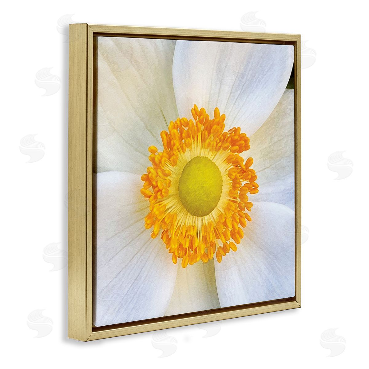 JG Studios White Flower Close Up Gold Floater Frame Canvas Artside_