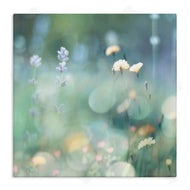 Kate Carrigan | Cottage Meadow Photography