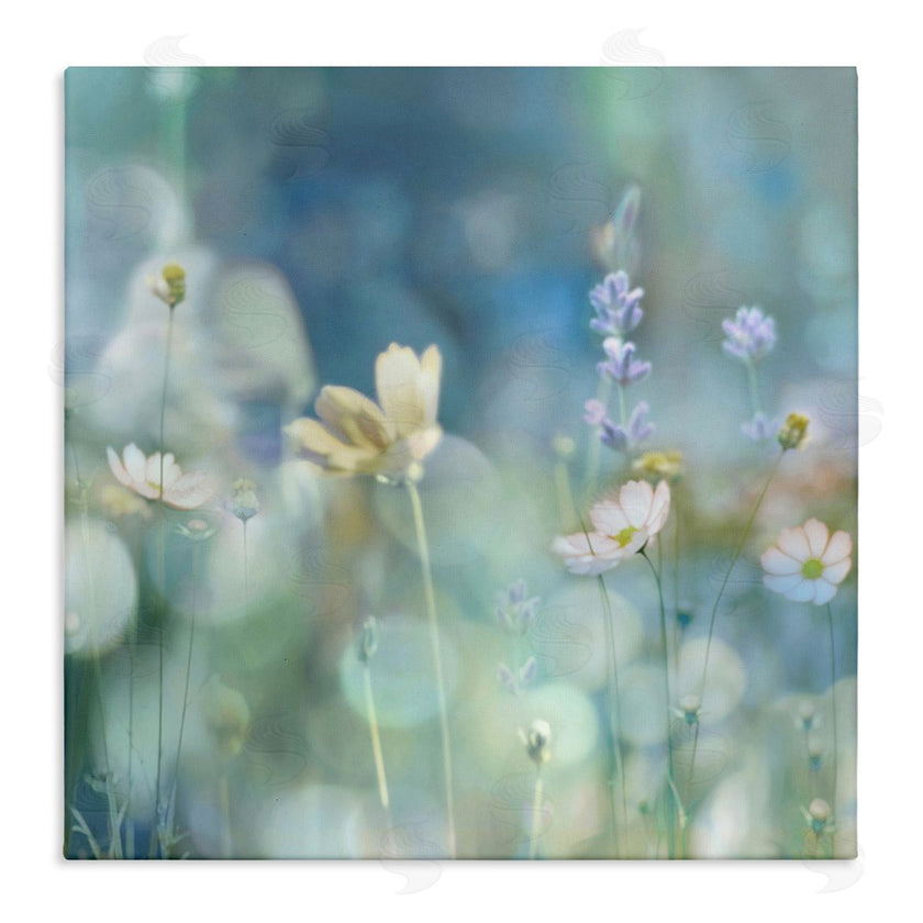 Kate Carrigan | Garden Floral Photography