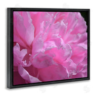 Michelle Calkins | Pink Carnation Photography