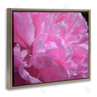 Michelle Calkins | Pink Carnation Photography