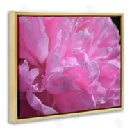Michelle Calkins | Pink Carnation Photography