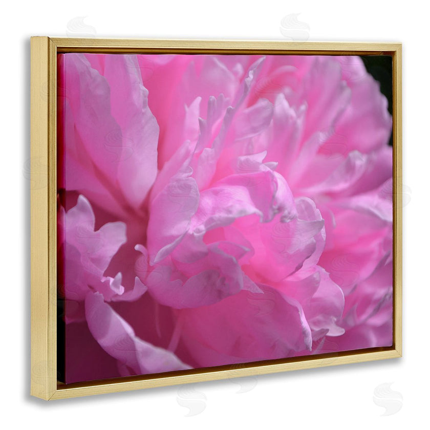 Michelle Calkins | Pink Carnation Photography