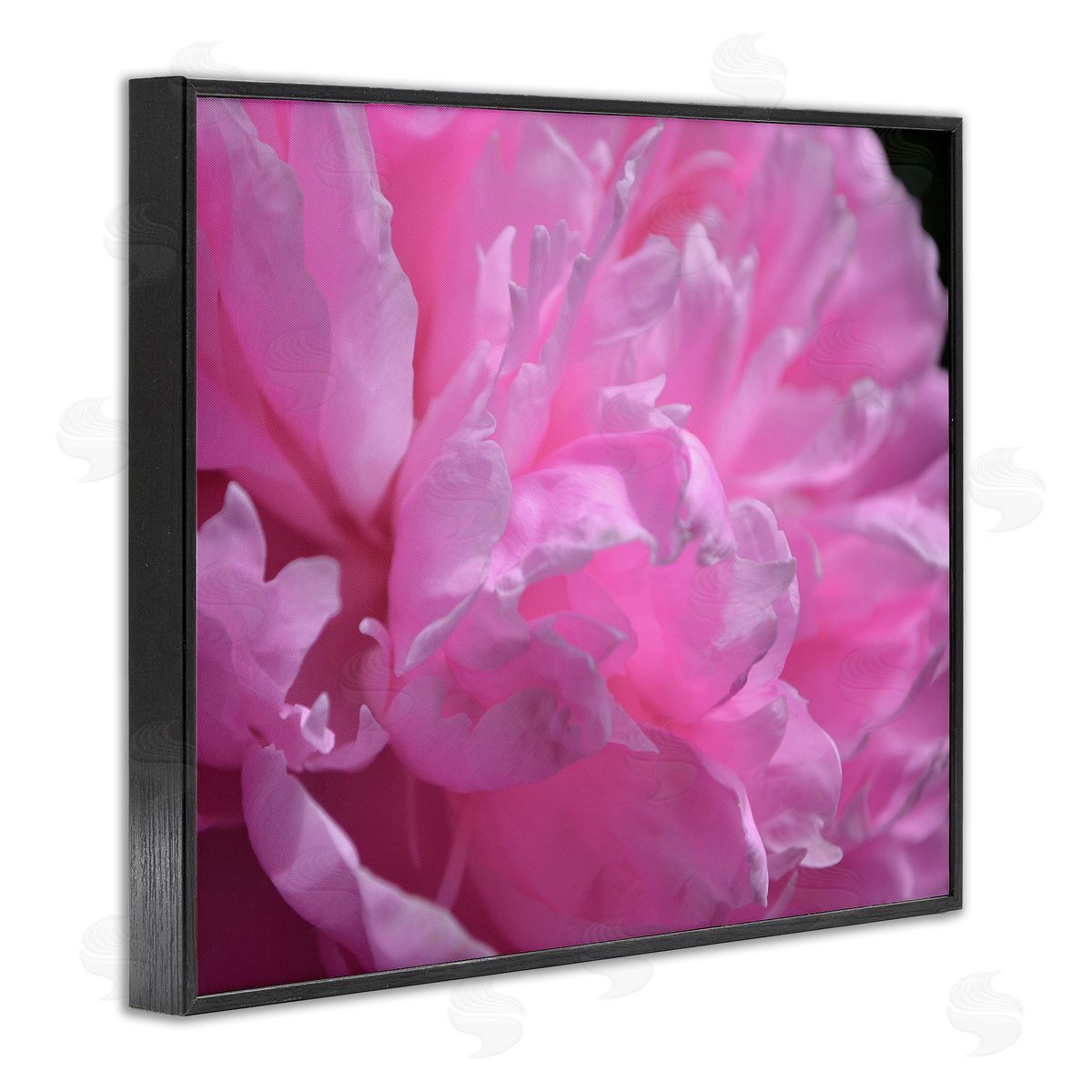 Michelle Calkins Pink Carnation Photography Black Framed Giclee Wall Artside_