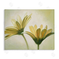 Massimo Valli | Two Daisies Painting