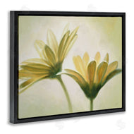 Massimo Valli | Two Daisies Painting