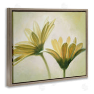 Massimo Valli | Two Daisies Painting