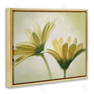 Massimo Valli | Two Daisies Painting