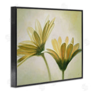 Massimo Valli | Two Daisies Painting