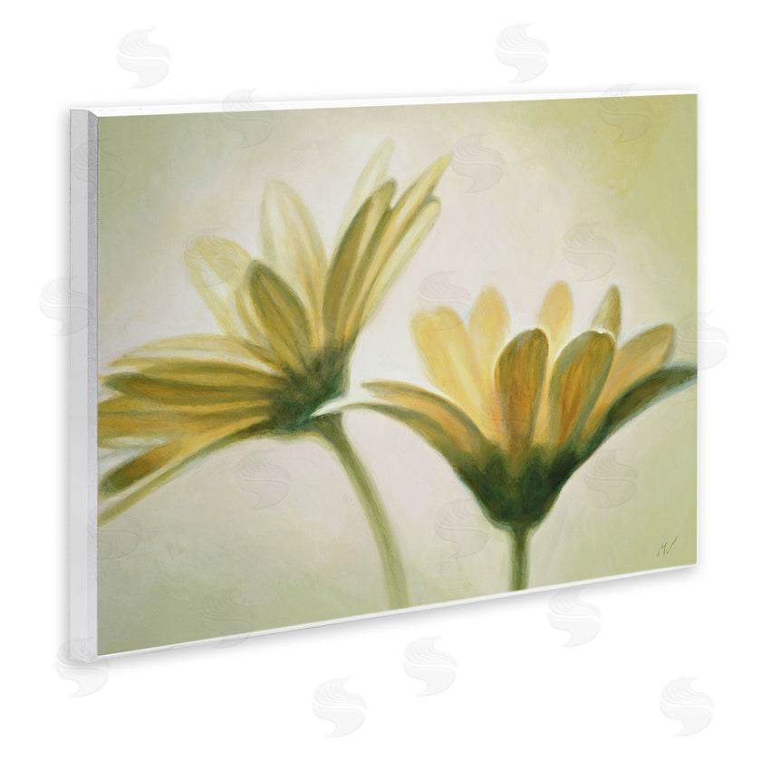 Massimo Valli | Two Daisies Painting