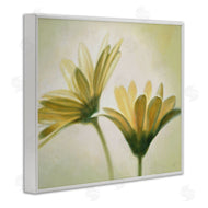 Massimo Valli | Two Daisies Painting