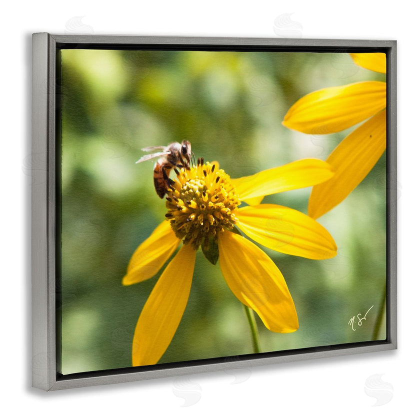 Nick Saez | Bee on Daisy Photography
