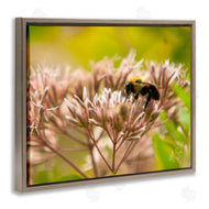 Nick Saez | Honey Bee Photography