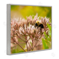 Nick Saez | Honey Bee Photography