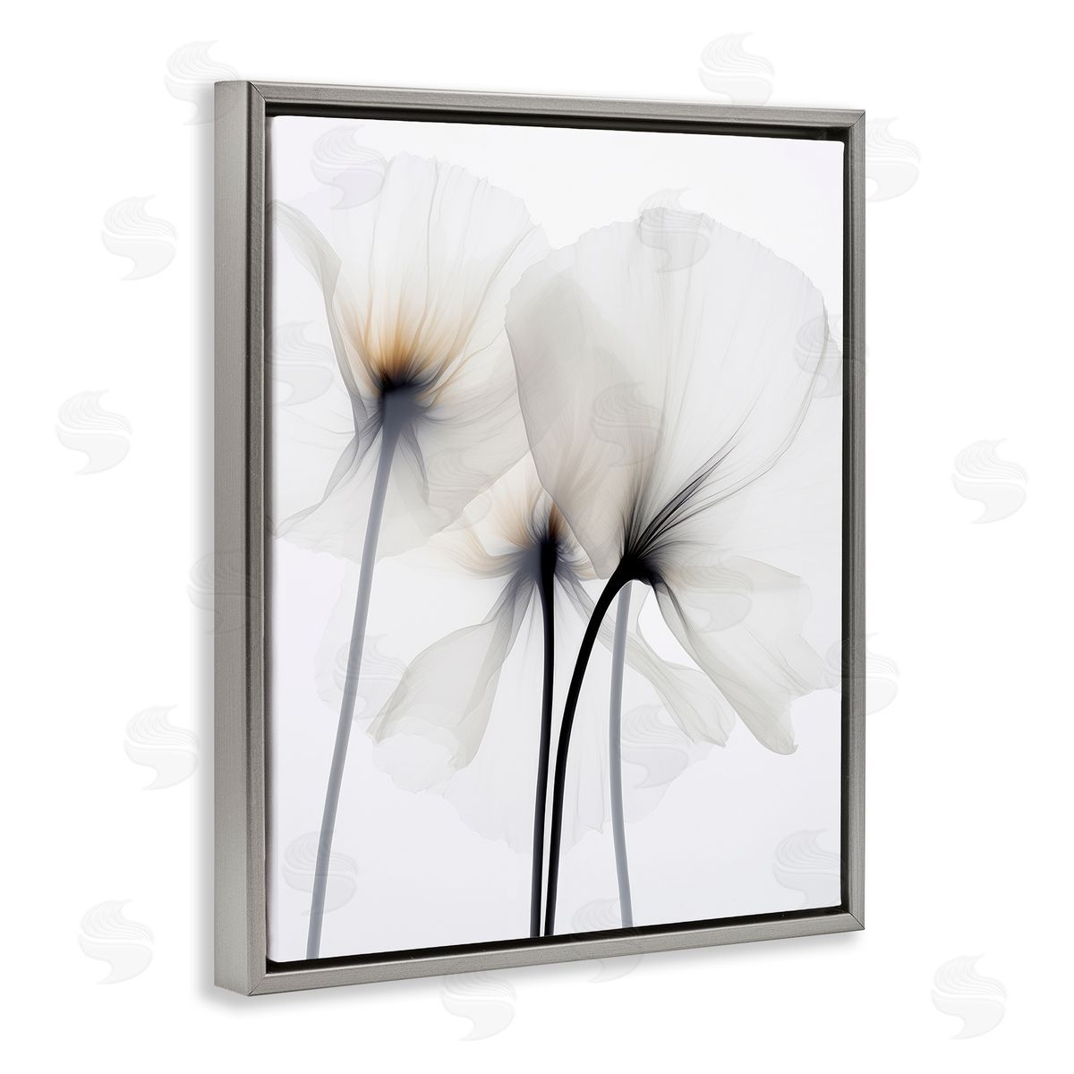 Irena Orlov White Poppy Photography Gray Floater Frame Canvas Artside_