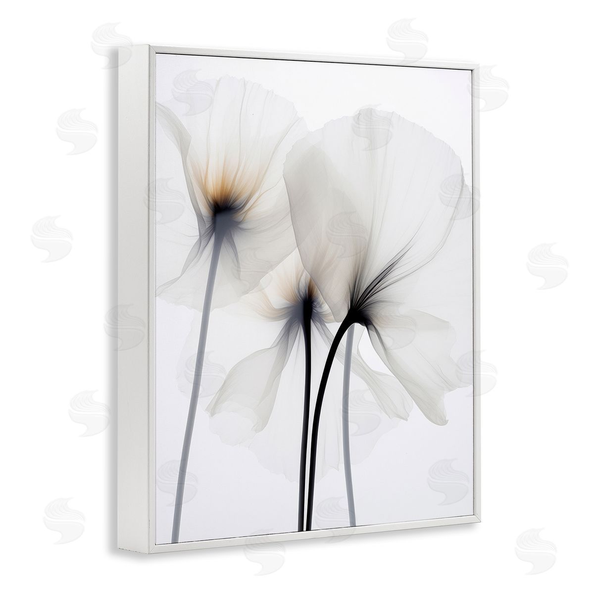 Irena Orlov | White Poppy Photography
