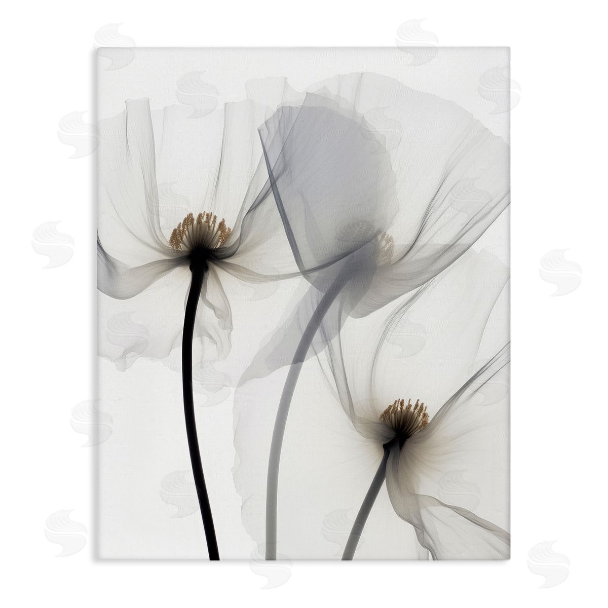 Irena Orlov Modern White Poppies Canvas Wall Art