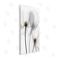 Irena Orlov | Modern White Poppies