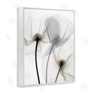Irena Orlov | Modern White Poppies