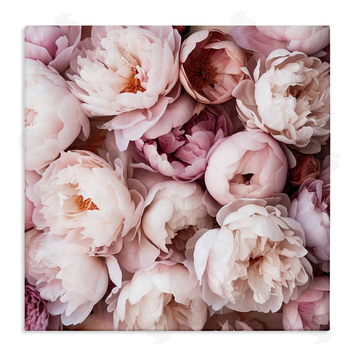Riley B Varied Peony Blooms Canvas Wall Art