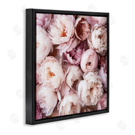 Riley B | Varied Peony Blooms
