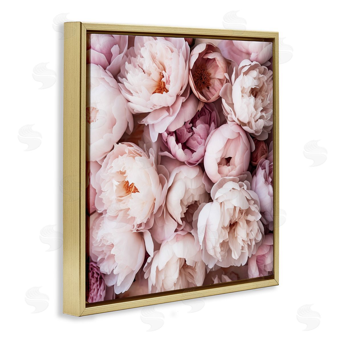 Riley B | Varied Peony Blooms