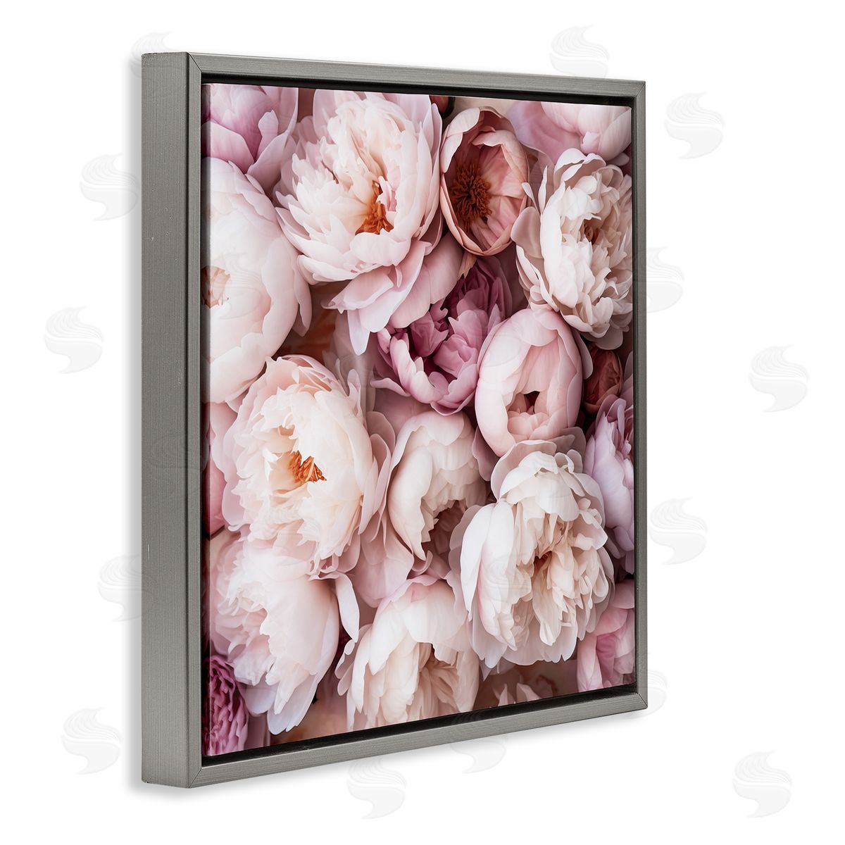 Riley B | Varied Peony Blooms