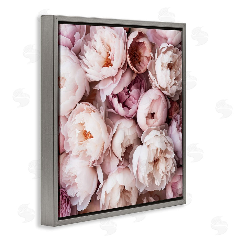 Riley B | Varied Peony Blooms