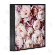 Riley B | Varied Peony Blooms