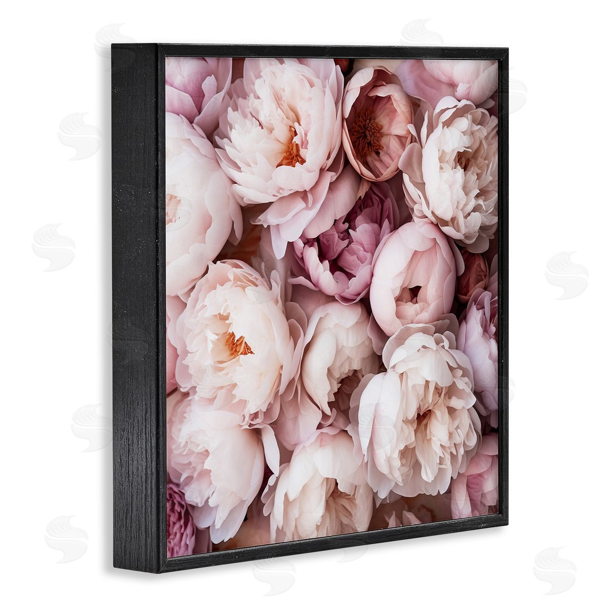 Riley B | Varied Peony Blooms