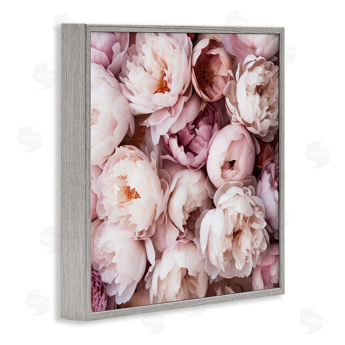 Riley B Varied Peony Blooms Gray Framed Giclee Wall Artside_