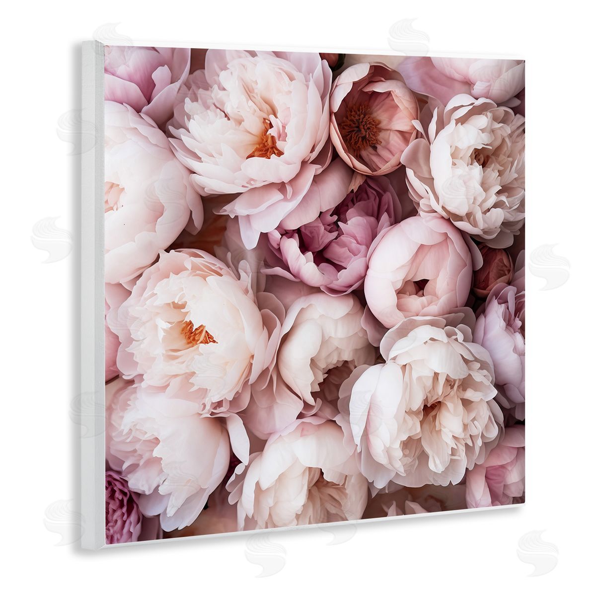 Riley B Varied Peony Blooms Wall Plaque Artside_