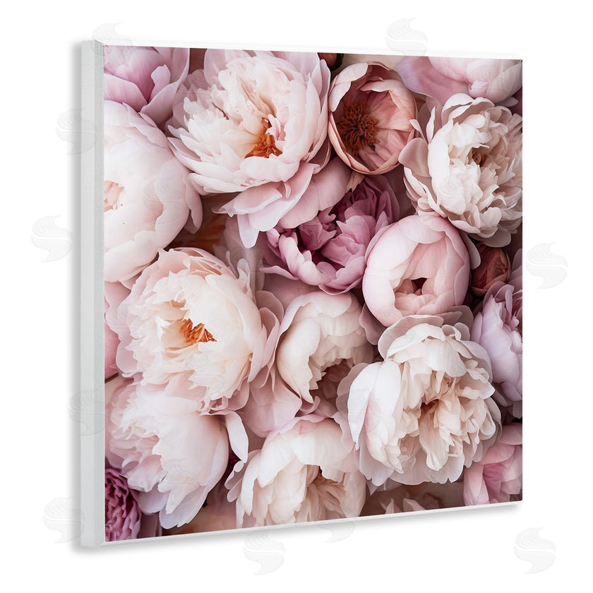 Riley B | Varied Peony Blooms