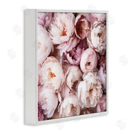 Riley B | Varied Peony Blooms