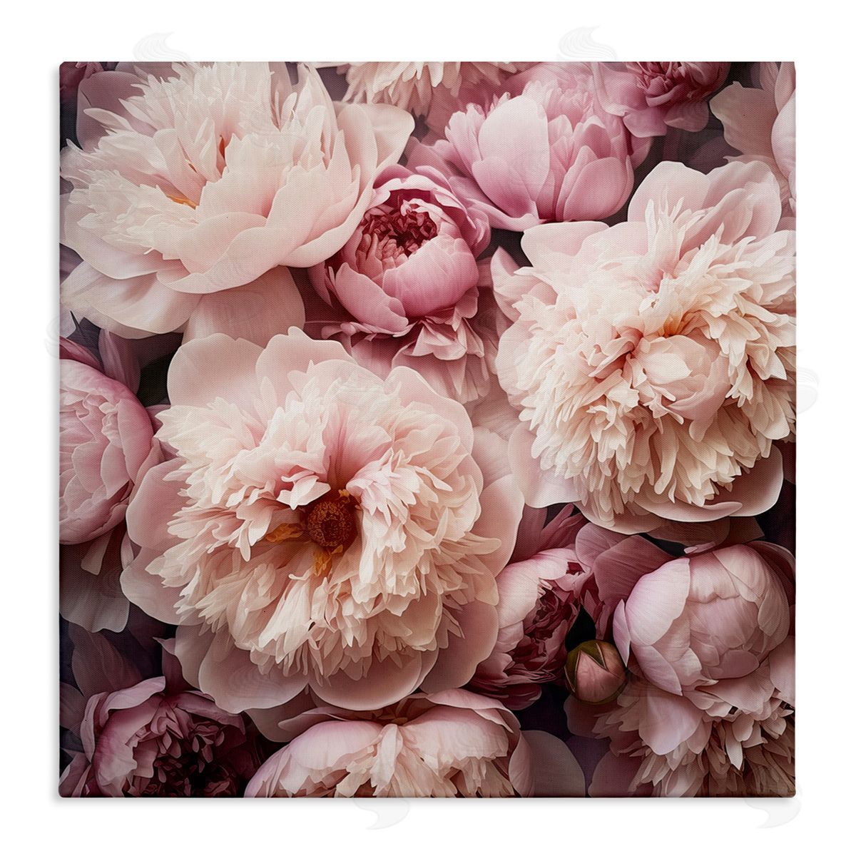 Riley B Mixed Pink Floral Photography Canvas Wall Art