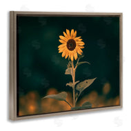 Daniel Sproul | Dark Sunflower Nature