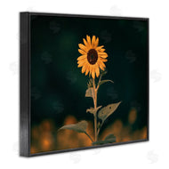 Daniel Sproul | Dark Sunflower Nature