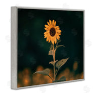 Daniel Sproul | Dark Sunflower Nature
