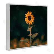 Daniel Sproul | Dark Sunflower Nature