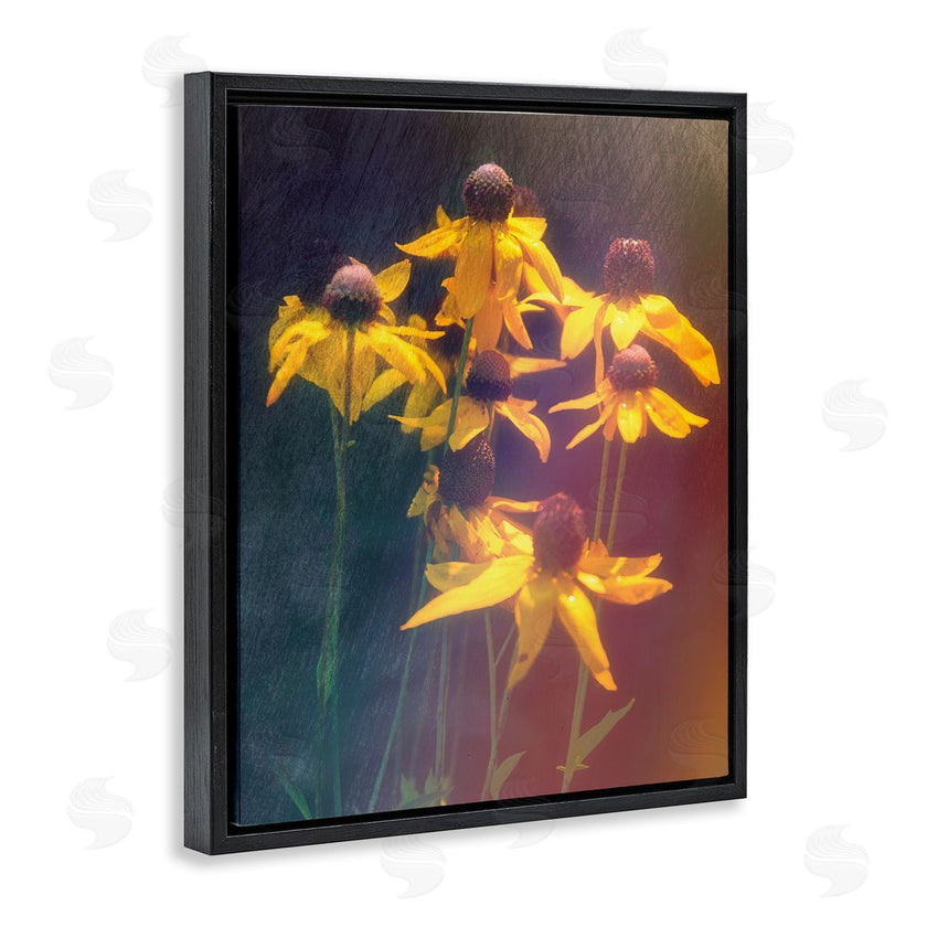 Daniel Sproul | Black-Eyed Susan Photography