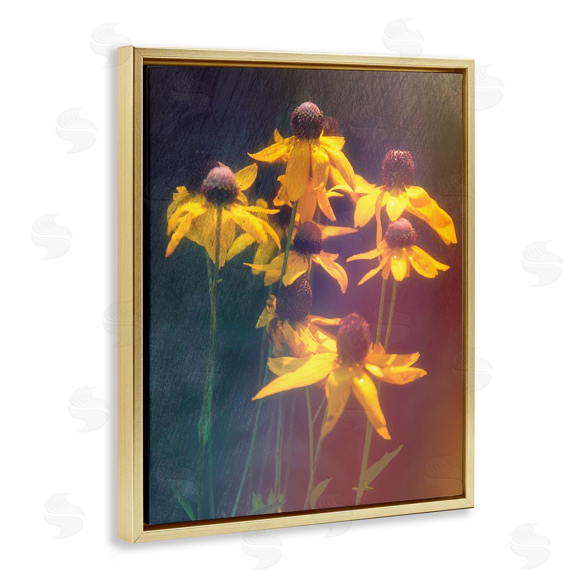 Daniel Sproul Black-Eyed Susan Photography Gold Floater Frame Canvas Artside_